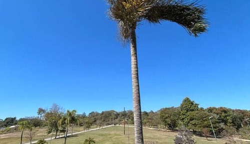 Quarto Triplo Deluxe