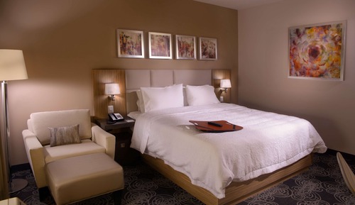 Room, 1 King Bed, Non Smoking, Refrigerator