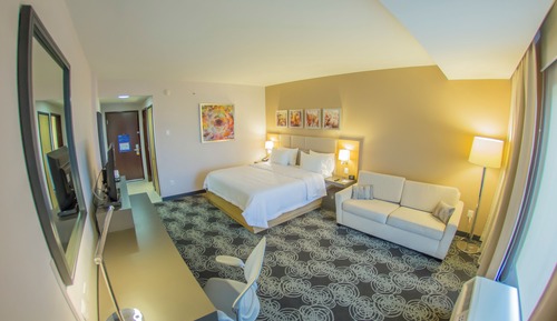 Room, 1 King Bed, Non Smoking