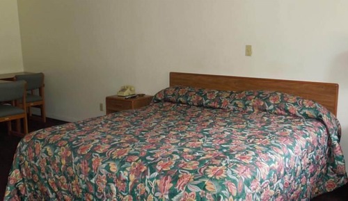Room, 1 King Bed