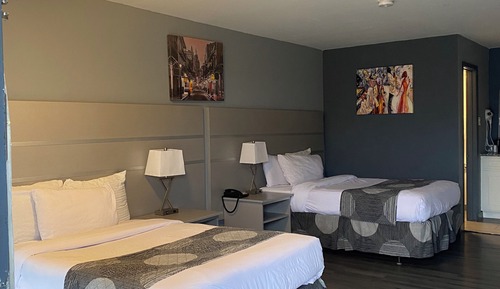 Standard Double Room