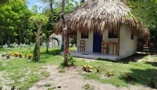 Deluxe Cabin, Garden View