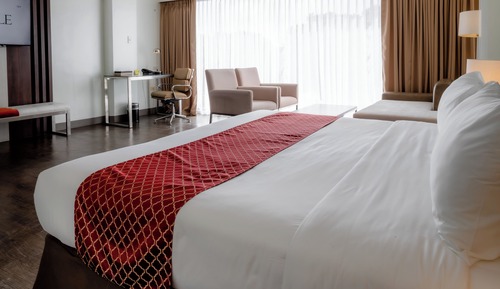 Suite Room