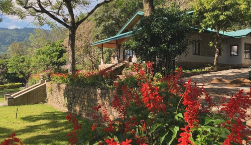 Bungalow