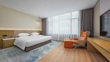 Standard Room, City View