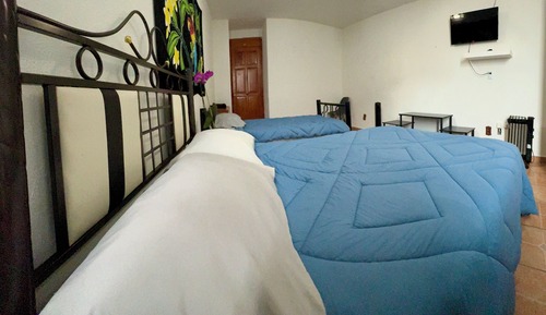 Basic Double Room