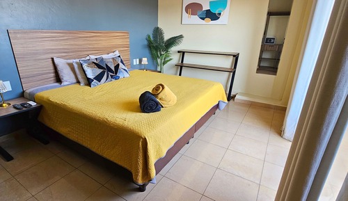 Basic Apartment