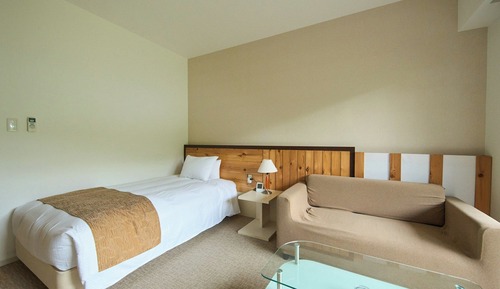 Deluxe Single Room, Non Smoking, Private Bathroom