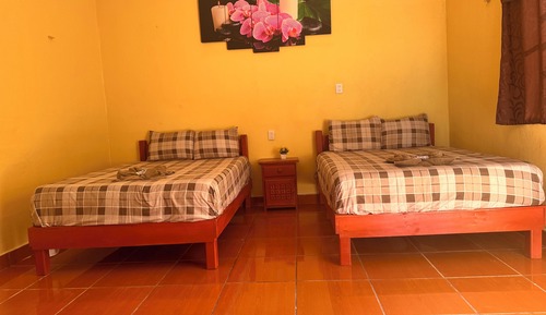 Basic Double Room