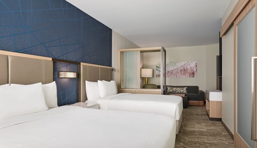 Suite, Multiple Beds, Non Smoking, Mountain View (Mobility/Hearing Access, Roll-in Shwr)