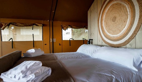 Design Tent