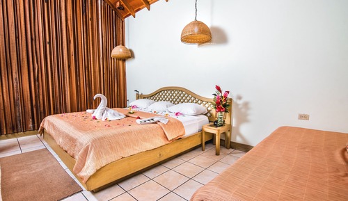 Comfort Double Room, Garden View