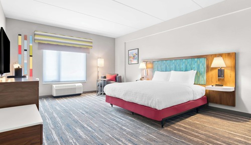 Room, 1 King Bed, Accessible, Bathtub