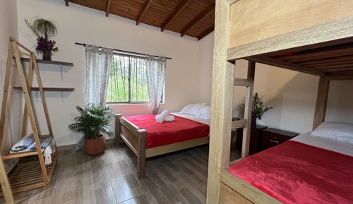 Family Room, Multiple Beds