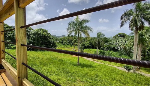 Standard Room, Mountain View