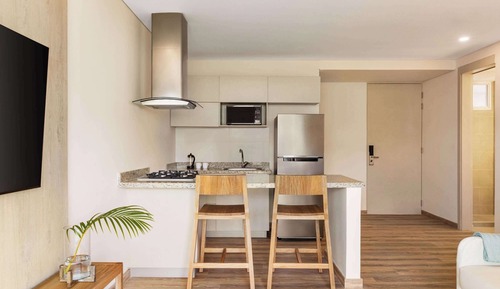 Apartment, 1 King Bed with Sofa bed, Mobility Accessible (Studio, Day Bed)