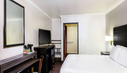 Room, 1 King Bed, Non Smoking