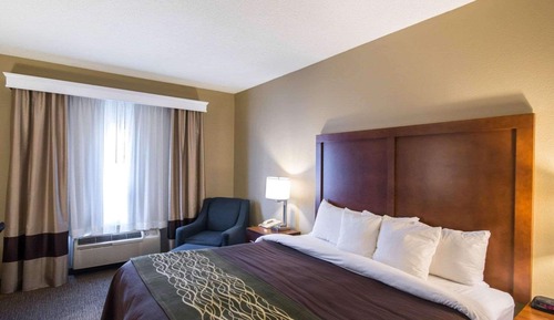 Standard Room, 1 King Bed, Non Smoking