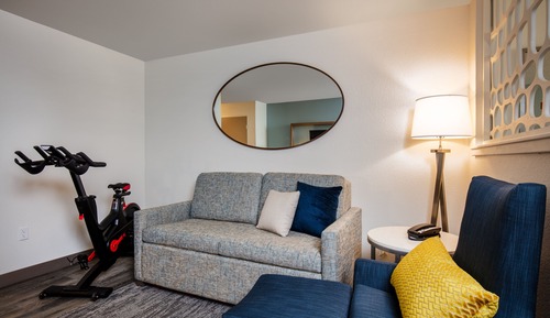 Suite, 1 King Bed with Sofa bed (W Stationary Bike)