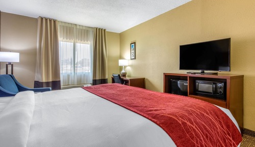 Standard Room, 1 King Bed, Non Smoking