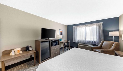 Room, 1 King Bed, Accessible, Non Smoking (Roll-In Shower)