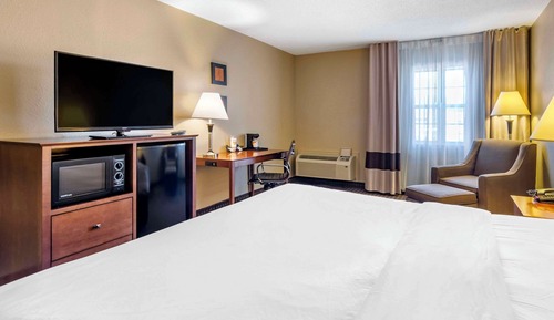 Standard Room, 1 King Bed, Non Smoking
