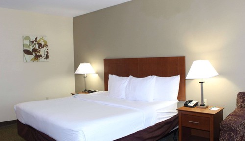 Room, 1 King Bed with Sofa bed, Non Smoking