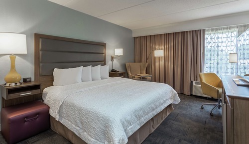 Room, 1 King Bed, Accessible, Non Smoking
