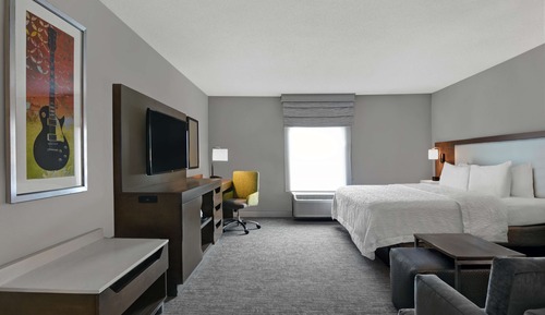 Room, 1 King Bed with Sofa bed