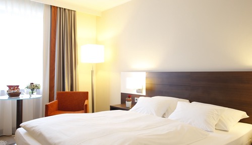 Comfort Single Room, 1 Queen Bed (French)