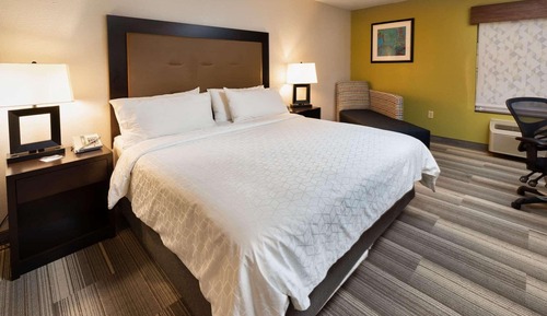 Room, 1 King Bed, Accessible, Non Smoking (Roll-in Shower)