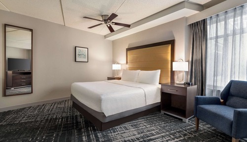 Suite, 1 King Bed with Sofa bed, Accessible, Bathtub (1 Bedroom)