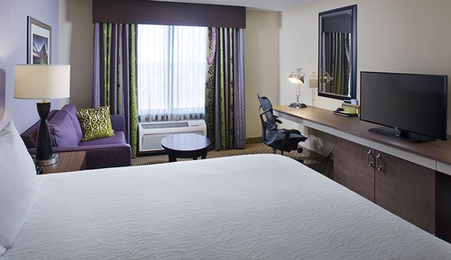 Room, 1 King Bed, Accessible (Roll-In Shower)