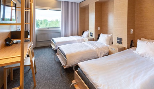 Family Room, Multiple Beds (Three)