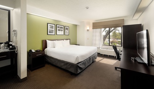 Standard Room, 1 King Bed, Non Smoking, Refrigerator & Microwave