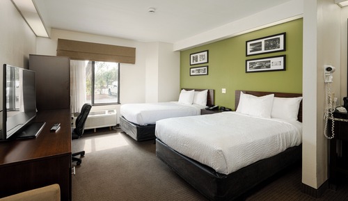 Standard Room, 2 Double Beds, Non Smoking, Refrigerator & Microwave