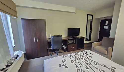Standard Room, 1 Queen Bed, Accessible, Refrigerator & Microwave