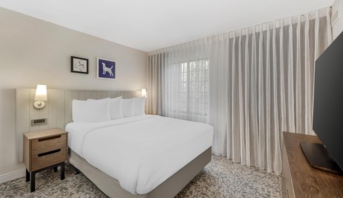 Suite, Multiple Beds (Two Bedroom King and Queen)