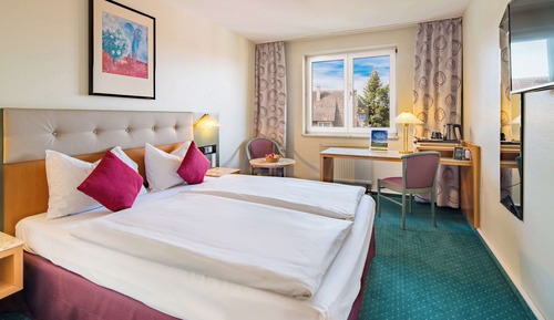 Comfort Room, 1 Queen Bed