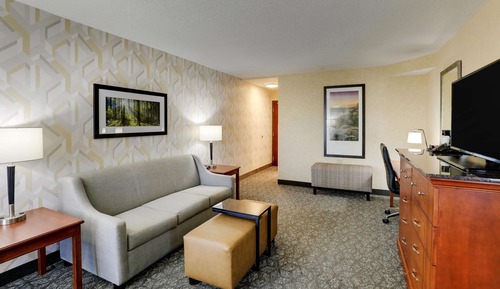 Deluxe Suite, 1 King Bed with Sofa bed, Refrigerator & Microwave (2 Rooms)