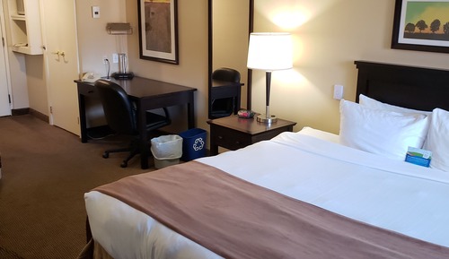 Room, 1 King Bed, Non Smoking, Courtyard View