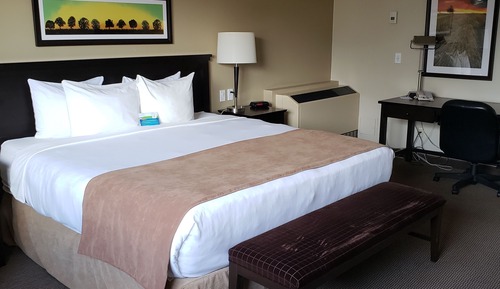 Studio Suite, 1 King Bed, Non Smoking (Upper Floor)