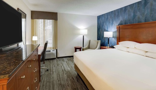 Deluxe Room, 1 Queen Bed, Refrigerator & Microwave