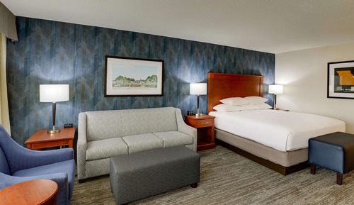 Deluxe Room, 1 King Bed with Sofa bed, Refrigerator & Microwave