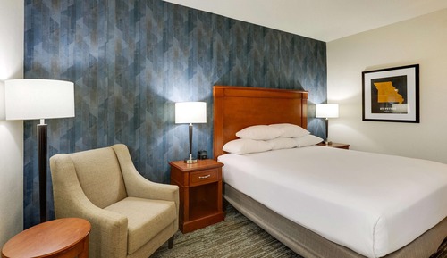 Deluxe Room, 1 King Bed, Accessible, Refrigerator & Microwave (Roll in Shower)