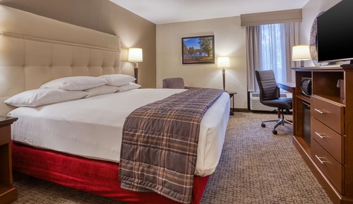 Deluxe Room, 1 King Bed, Accessible, Refrigerator & Microwave (Roll in Shower)