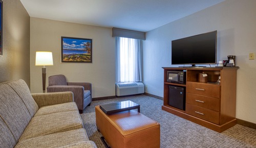 Suite, 1 King Bed with Sofa bed, Refrigerator & Microwave (2 rooms)