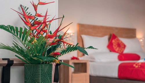Garden Suite