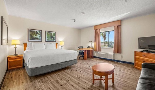 Deluxe Room, 1 King Bed, Non Smoking