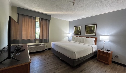 Room, 1 King Bed, Non Smoking